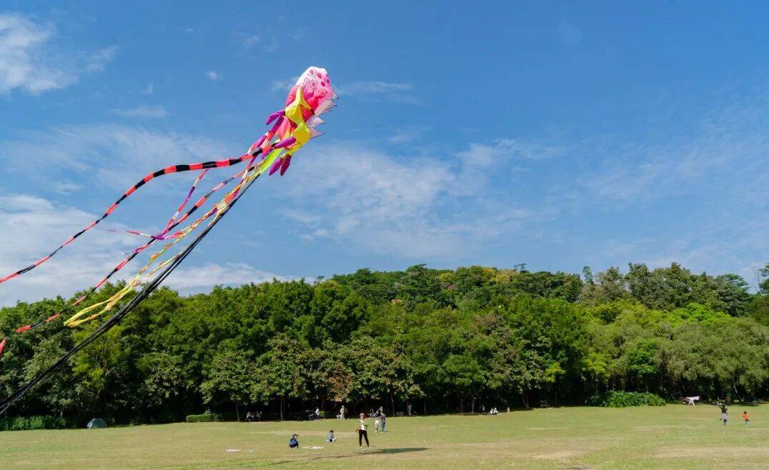 澳门新葡京网页打卡《奇迹》取景地：在时间里重逢在自然中治愈(图4)