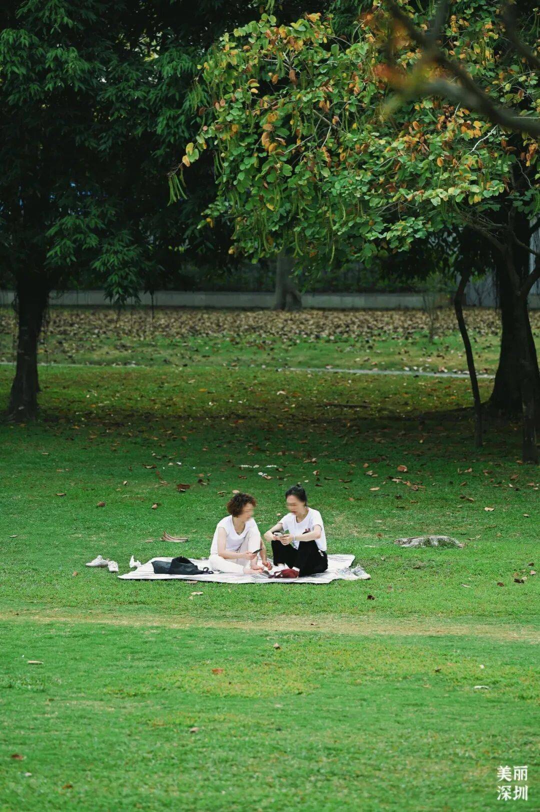 澳门新葡京网页打卡《奇迹》取景地：在时间里重逢在自然中治愈(图3)