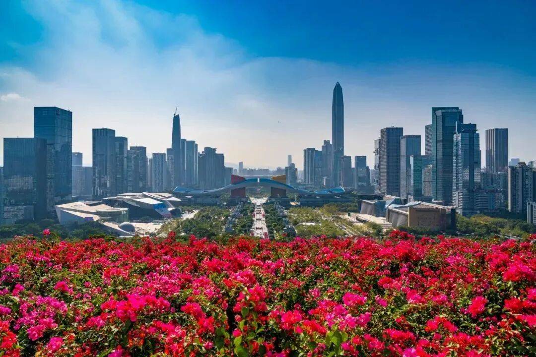 澳门新葡京网页打卡《奇迹》取景地：在时间里重逢在自然中治愈(图7)