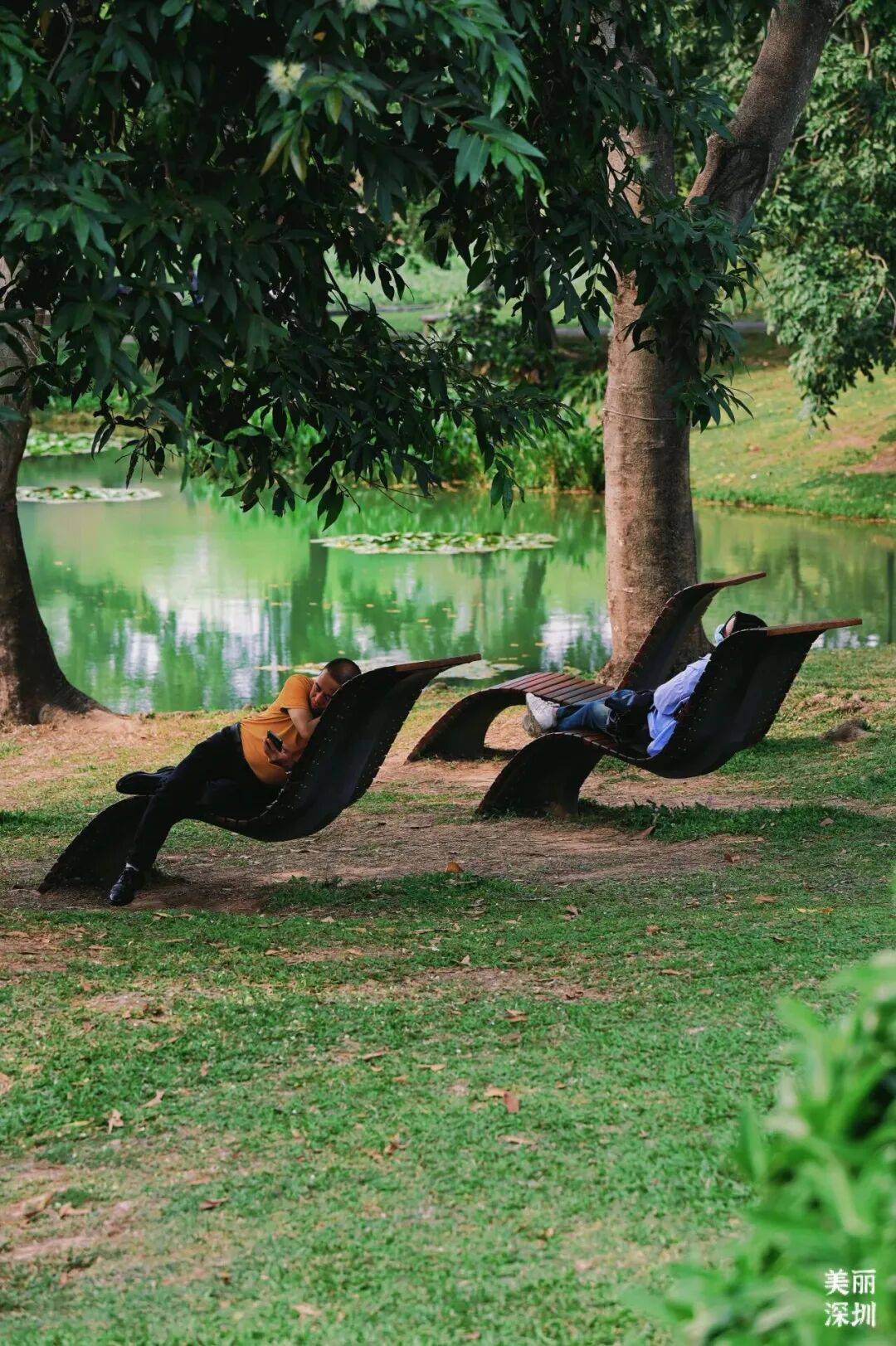 澳门新葡京网页打卡《奇迹》取景地：在时间里重逢在自然中治愈(图11)