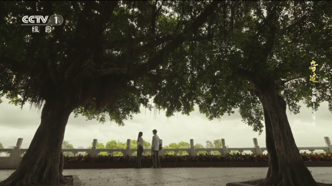 澳门新葡京网页打卡《奇迹》取景地：在时间里重逢在自然中治愈(图12)