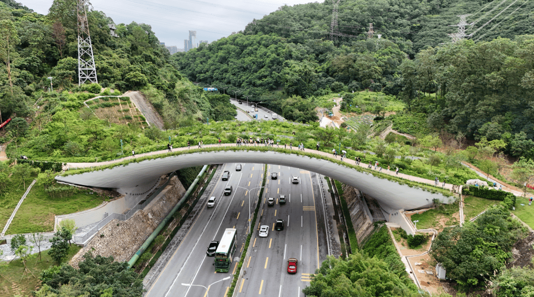澳门新葡京网页打卡《奇迹》取景地：在时间里重逢在自然中治愈(图16)