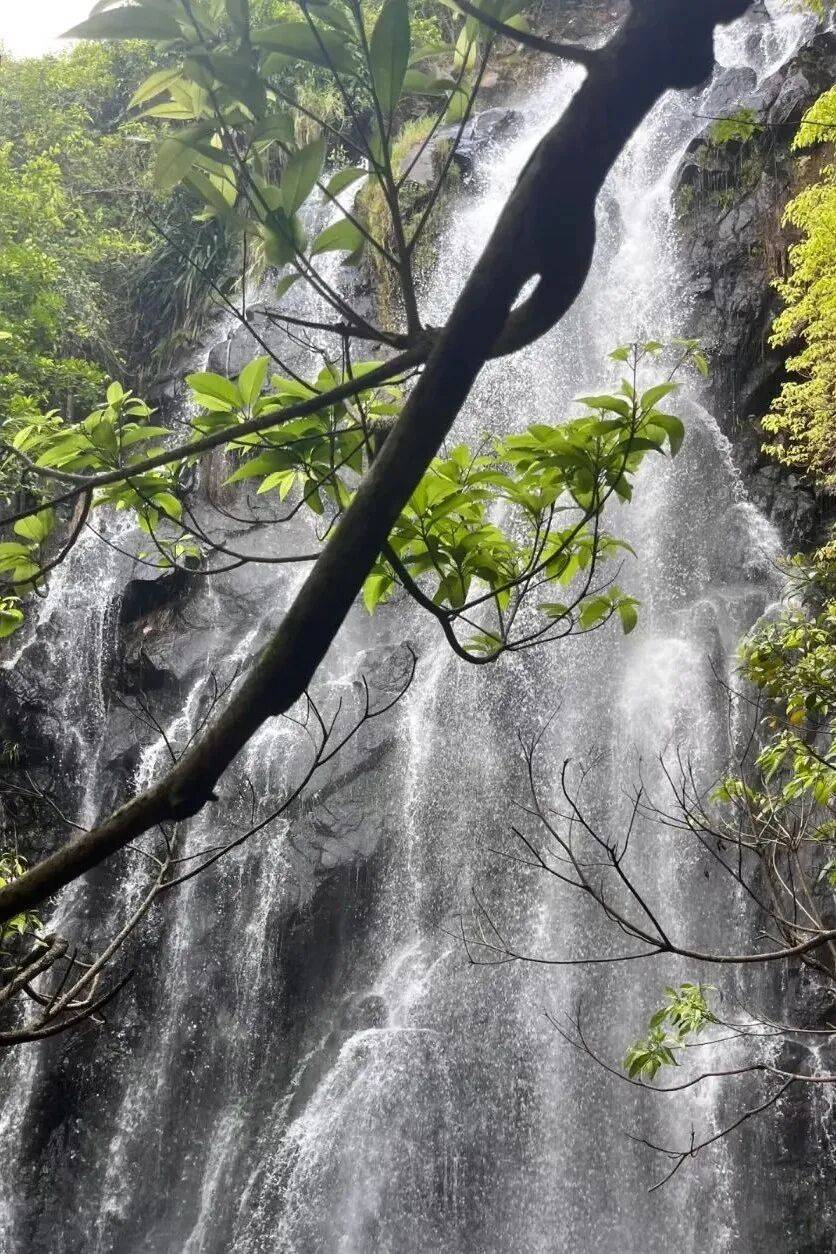 澳门新葡京网页打卡《奇迹》取景地：在时间里重逢在自然中治愈(图17)