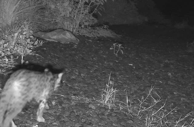 澳门新葡京网页打卡《奇迹》取景地：在时间里重逢在自然中治愈(图19)